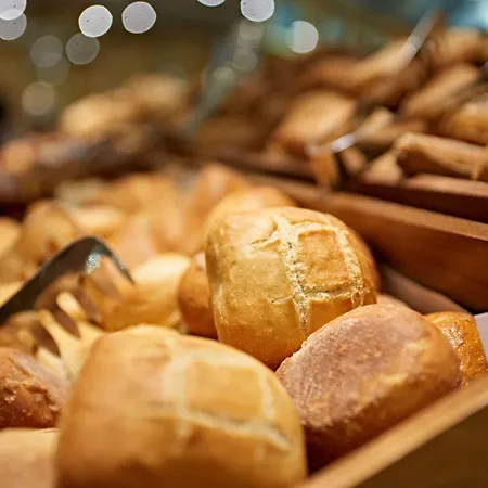 Maritim Am Schlossgarten Hotel Fulda