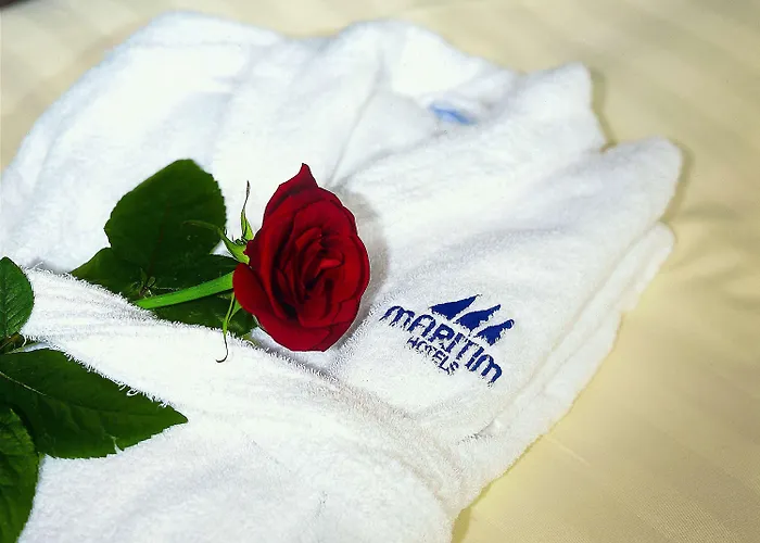 Maritim Am Schlossgarten 4* 풀다